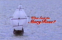 What Sank the Mary Rose?